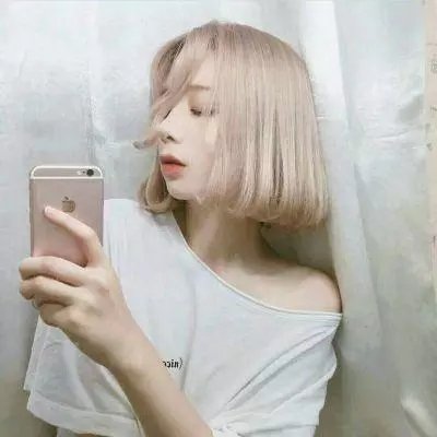 舞宫双凤